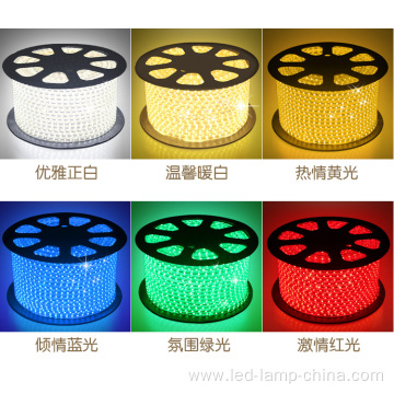 Outdoor AC110V led strip